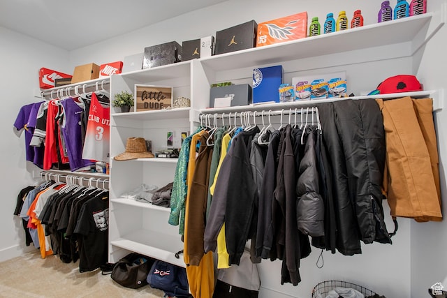 5516 N Valley View Rd, Lehi, UT 84043 - spacious closet with carpet flooring