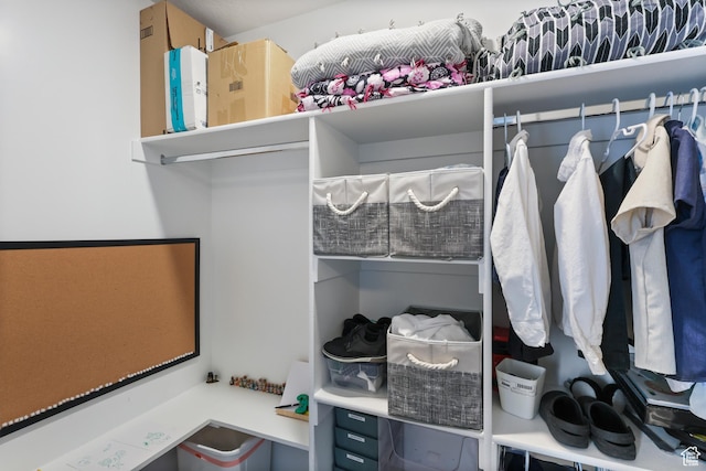view of walk in closet