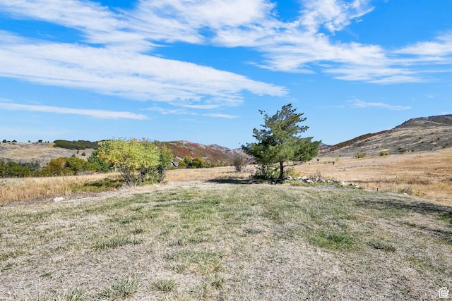 4216 N Wolf Creek Dr, Eden, UT 84310 - view of yard with a mountain view and a rural view