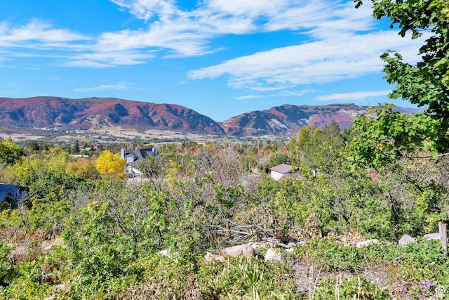 4216 N Wolf Creek Dr, Eden, UT 84310 - mountain view