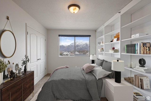 bedroom with carpet floors and a textured ceiling