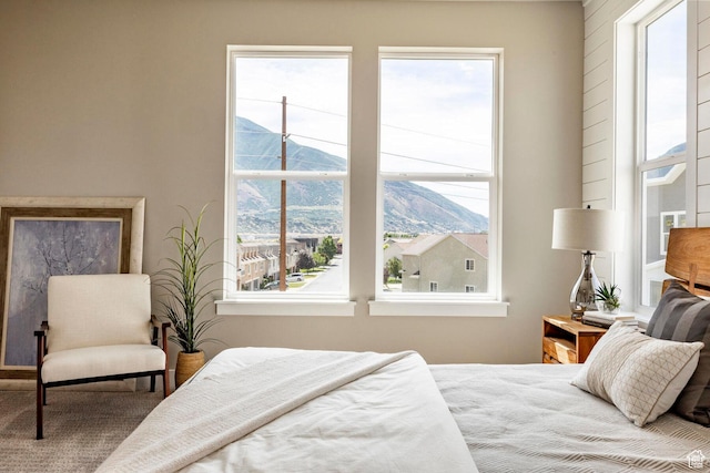2748 E 1060 S, Spanish Fork, UT 84660 - bedroom with a mountain view