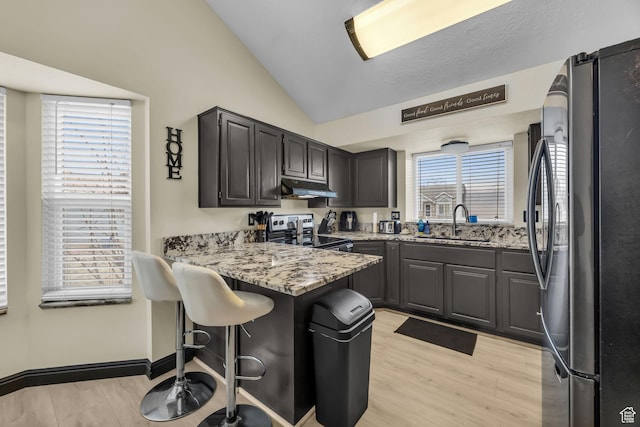 4933 S 3900 W, Roy, UT 84067 - kitchen with lofted ceiling, stainless steel appliances, under cabinet range hood, a sink, and a peninsula