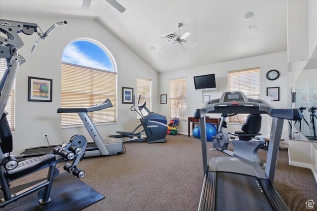 518 W 300 S Unit C, Springville, UT 84663 - workout area with a wealth of natural light, lofted ceiling, carpet floors, and a ceiling fan