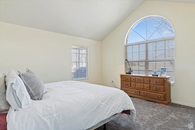 518 W 300 S Unit C, Springville, UT 84663 - bedroom featuring baseboards, lofted ceiling, and carpet flooring