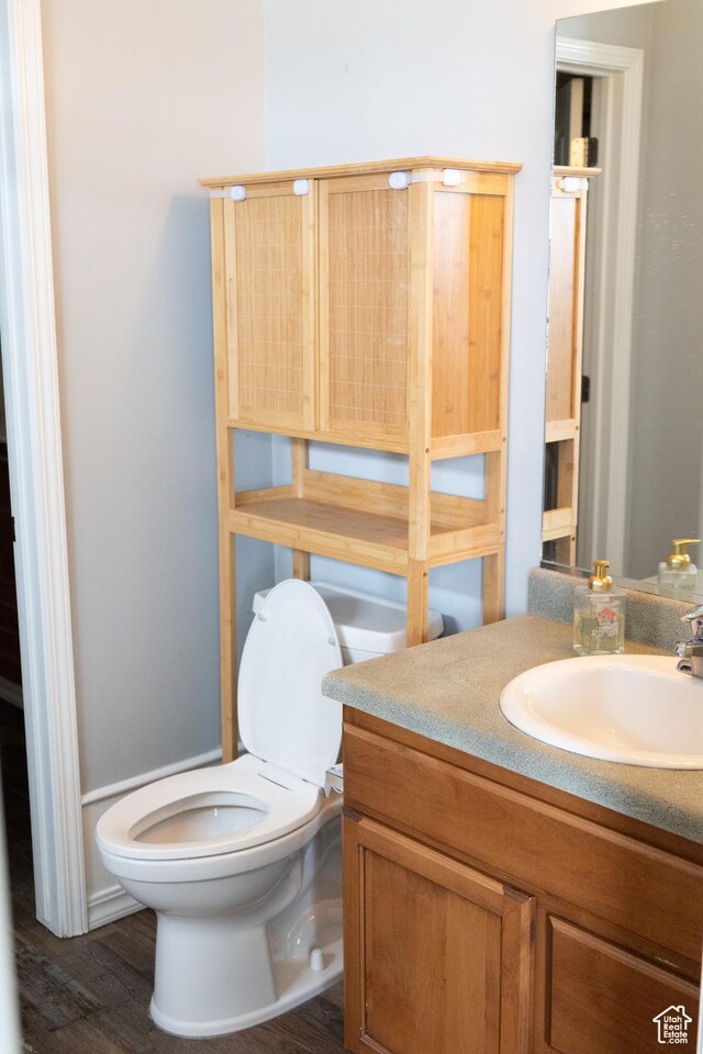 bathroom with toilet, vanity, and wood finished floors