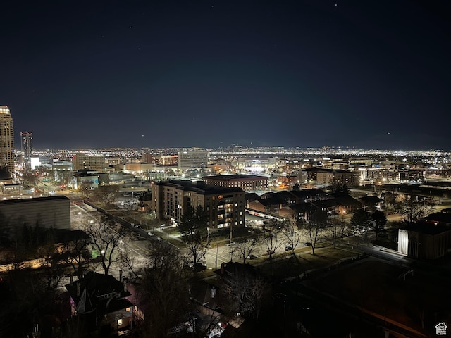 245 N Vine St W Unit 903, Salt Lake City, UT 84103 - view of city