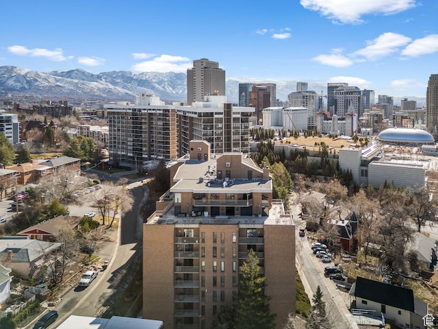 245 N Vine St W Unit 903, Salt Lake City, UT 84103 - property's view of city with a mountain view