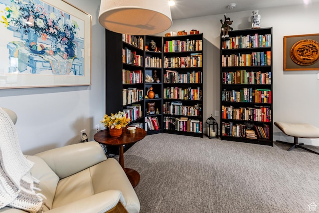 6065 N Westridge Rd, Heber City, UT 84032 - sitting room with carpet and bookshelves