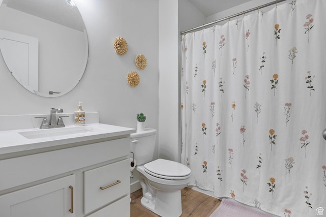 bathroom featuring toilet, vanity, and wood finished floors