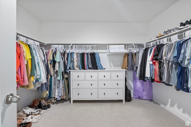 spacious closet with light carpet
