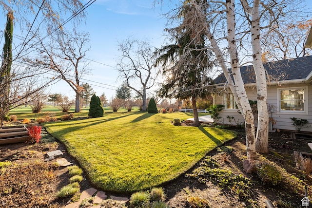 2532 E Maywood Dr, Salt Lake City, UT 84109 - view of yard