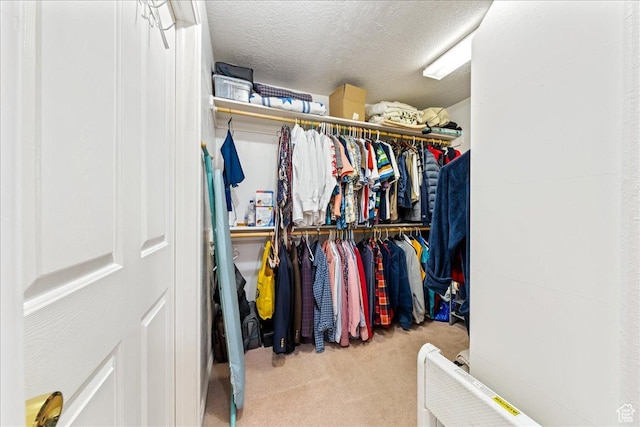 180 N 1100 E Unit 24, Washington, UT 84780 - spacious closet featuring carpet flooring