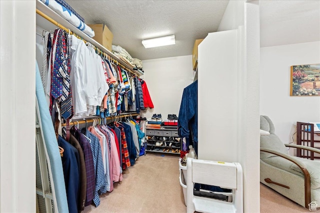 180 N 1100 E Unit 24, Washington, UT 84780 - walk in closet with carpet floors
