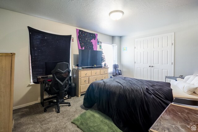 669 E 1375 S, Vernal, UT 84078 - bedroom with light colored carpet, a textured ceiling, and a closet