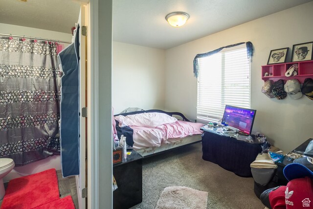 669 E 1375 S, Vernal, UT 84078 - view of carpeted bedroom