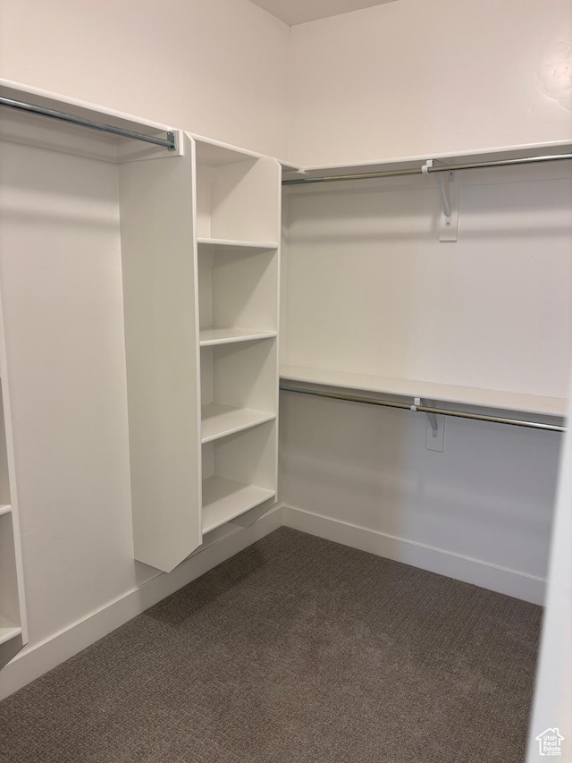 12038 S Middle Teton Dr Unit 134, Herriman, UT 84096 - spacious closet with dark carpet