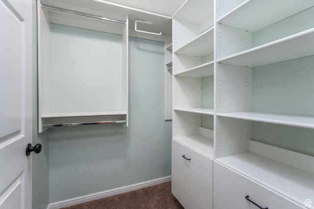 2522 W 500 S Unit 7, Springville, UT 84663 - spacious closet with dark colored carpet