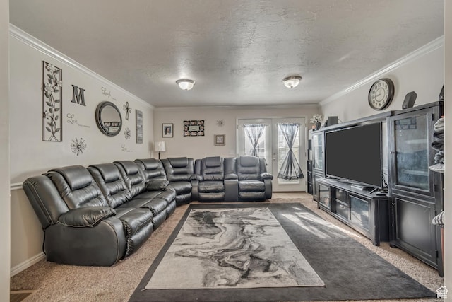 333 S Monroe Blvd Unit 23, Ogden, UT 84404 - living area featuring carpet floors, a textured ceiling, and crown molding
