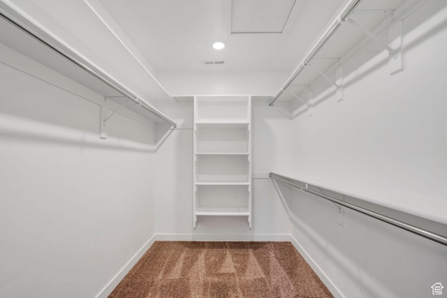 900 E Mecham Ave, Layton, UT 84040 - spacious closet with carpet flooring and visible vents