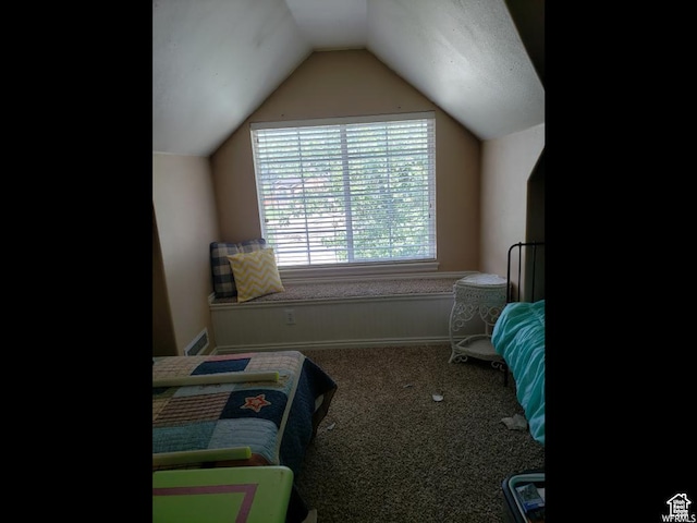 223 N 2520 W, Provo, UT 84601 - bedroom with carpet floors and lofted ceiling