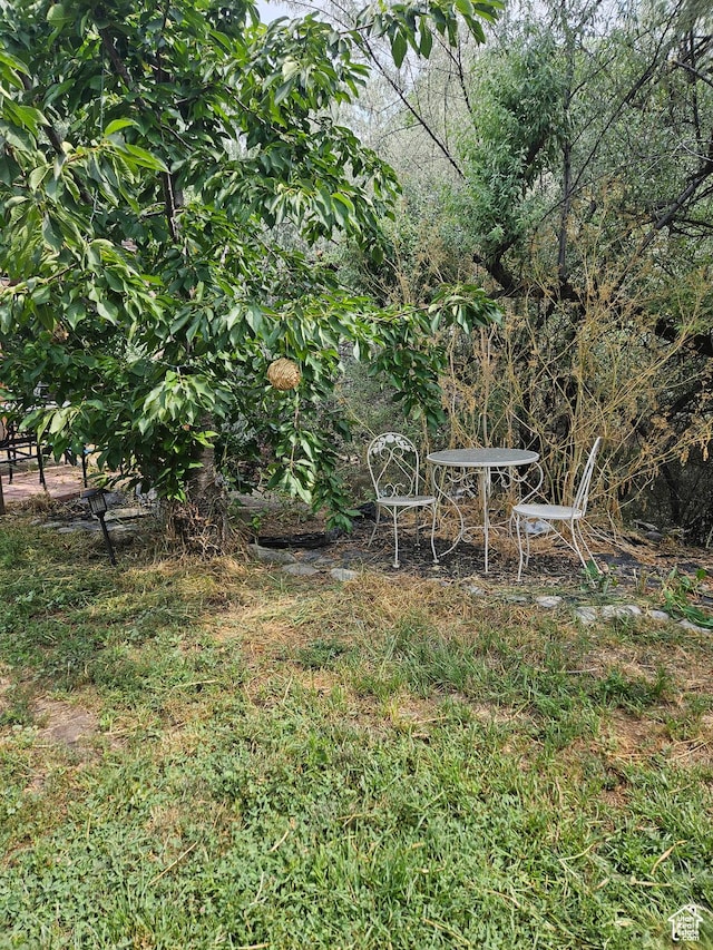 223 N 2520 W, Provo, UT 84601 - view of yard