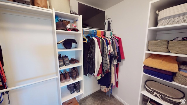 1451 W 925 S, Vernal, UT 84078 - walk in closet with carpet flooring
