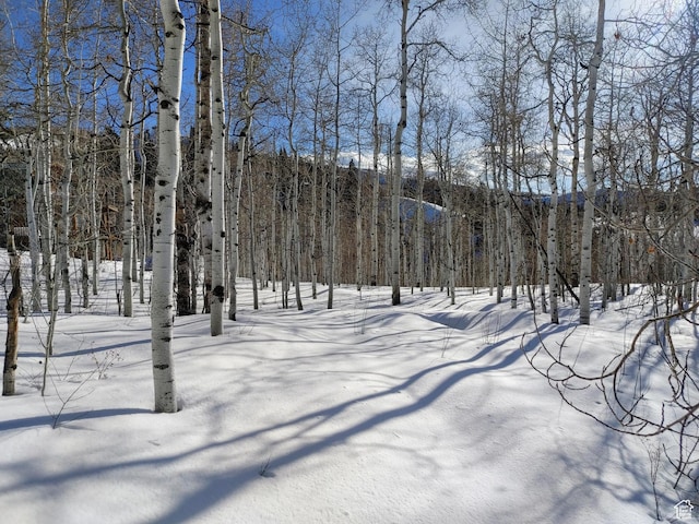 3400 S Blue Spruce Dr Unit 1707, Heber City, UT 84032