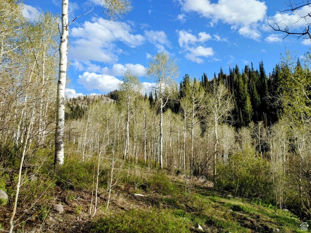 3400 S Blue Spruce Dr Unit 1707, Heber City, UT 84032