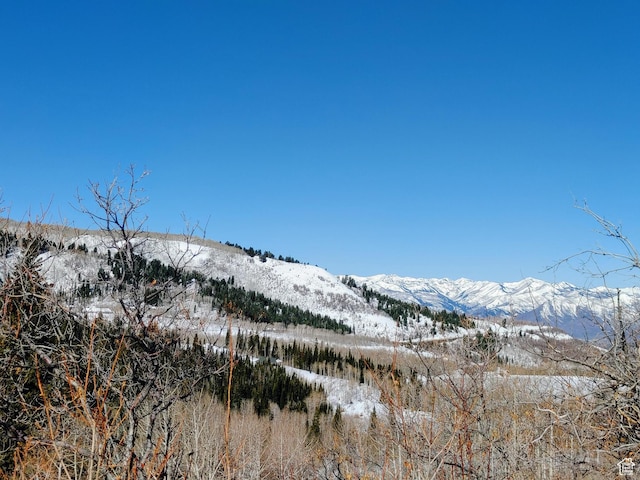 3400 S Blue Spruce Dr Unit 1707, Heber City, UT 84032