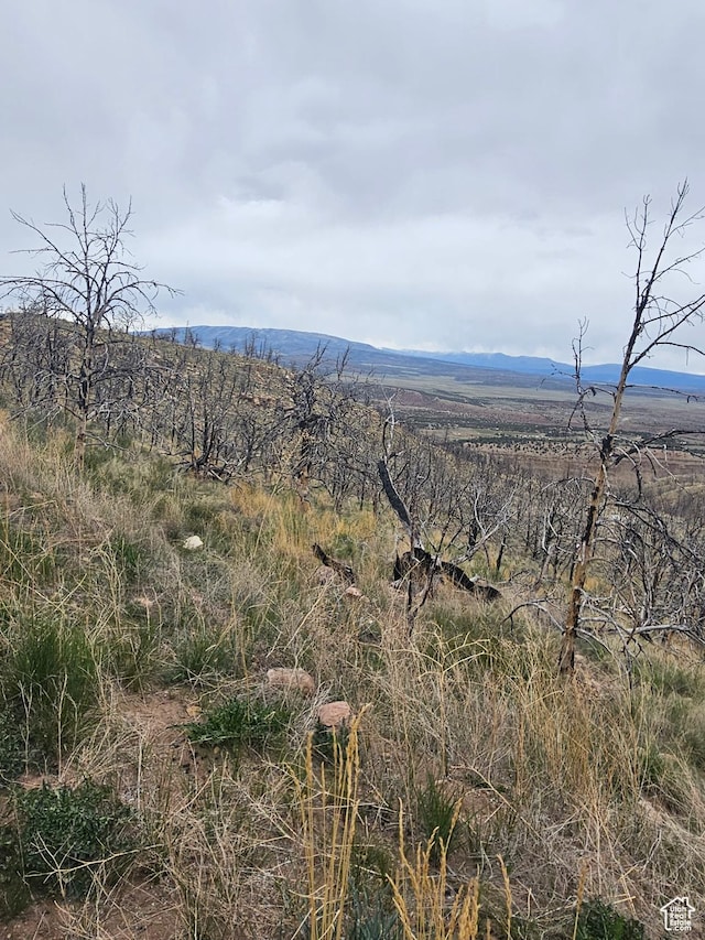 Unit 61, Fruitland, UT 84027