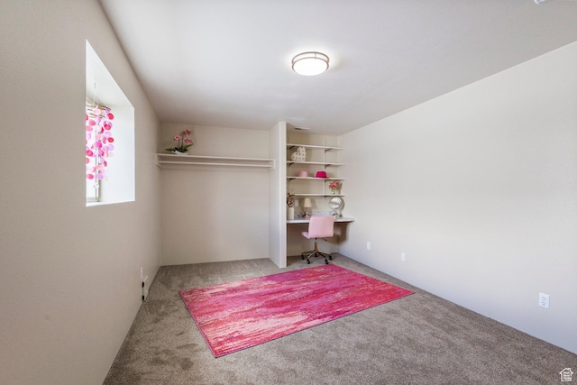 interior space featuring carpet and a closet