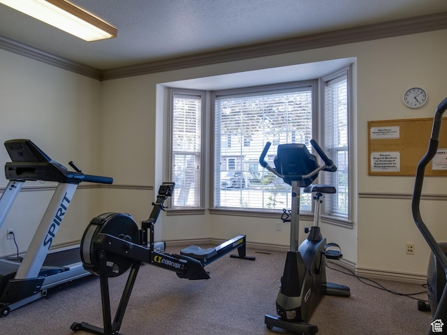 962 N Independence W, Provo, UT 84604 - exercise area featuring baseboards and ornamental molding