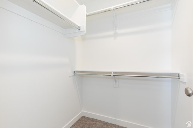 526 N Richland Valley St Unit 10, Garden City, UT 84028 - spacious closet featuring carpet