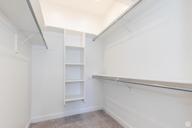 526 N Richland Valley St Unit 10, Garden City, UT 84028 - spacious closet featuring carpet floors