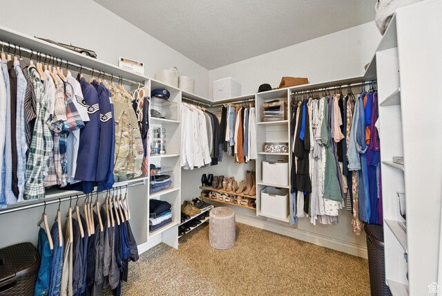 1637 E 2400 N, Layton, UT 84040 - spacious closet with carpet flooring
