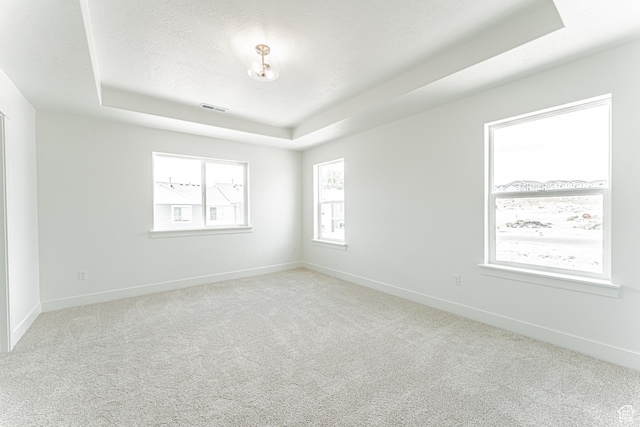 3877 W 950 N Unit 367, Lehi, UT 84043 - carpeted empty room featuring a tray ceiling and baseboards