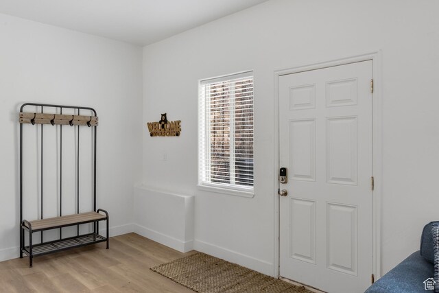 199 N 300 W, Garden City, UT 84028 - foyer entrance featuring baseboards and light wood-type flooring