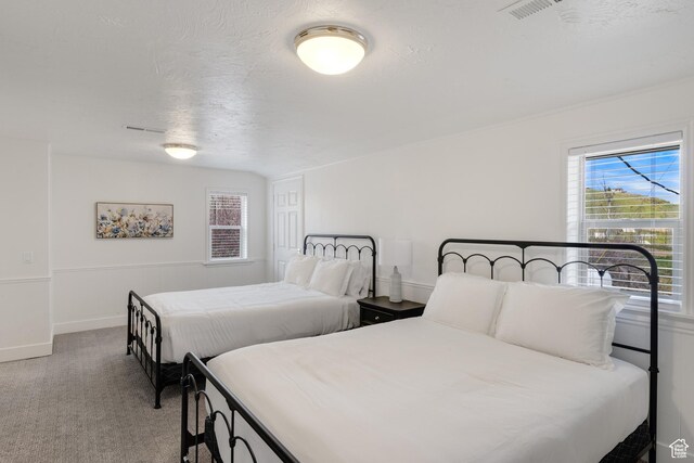 199 N 300 W, Garden City, UT 84028 - carpeted bedroom with visible vents, baseboards, multiple windows, and a textured ceiling