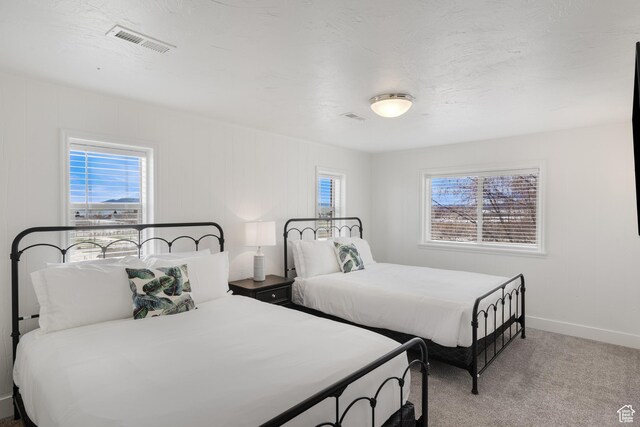 199 N 300 W, Garden City, UT 84028 - bedroom featuring baseboards, light colored carpet, and visible vents