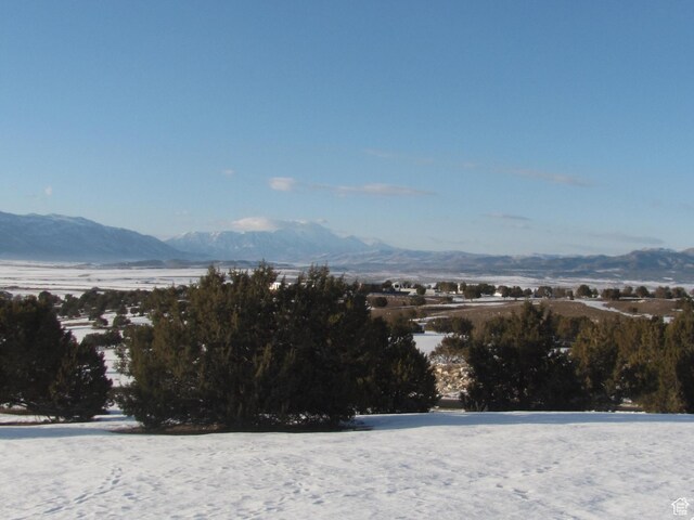 13800 N 6245 E Unit 4, Spring City, UT 84662