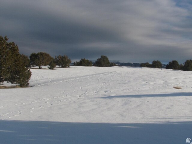 13800 N 6245 E Unit 4, Spring City, UT 84662