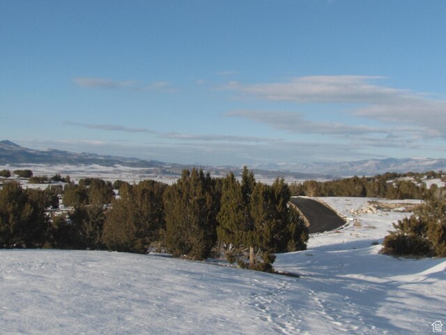 13800 N 6245 E Unit 4, Spring City, UT 84662