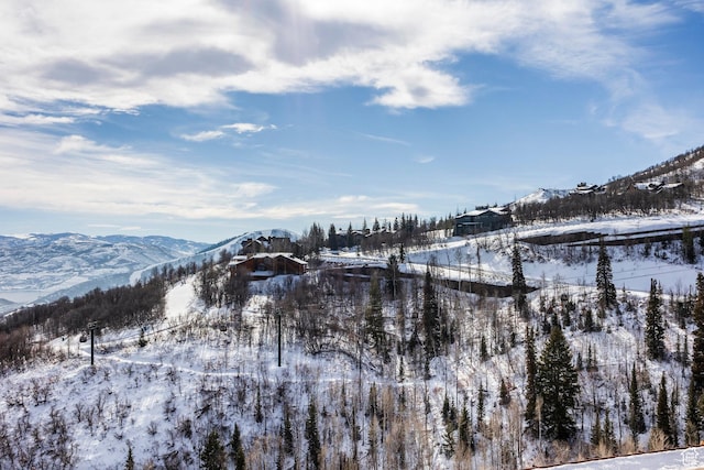 2908 W Deer Pointe Dr, Heber City, UT 84032 - water view featuring a mountain view