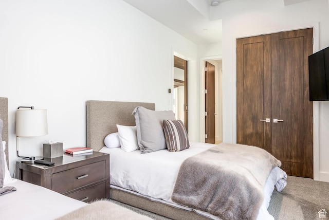 2908 W Deer Pointe Dr, Heber City, UT 84032 - bedroom with a closet