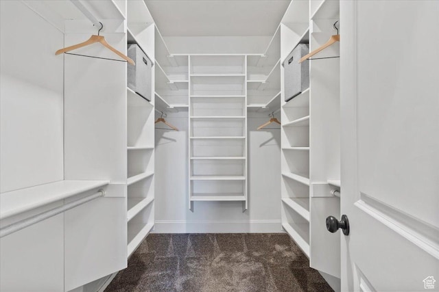 walk in closet with carpet floors