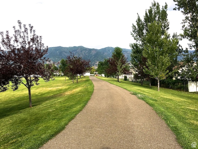 view of property's community featuring a lawn and a mountain view