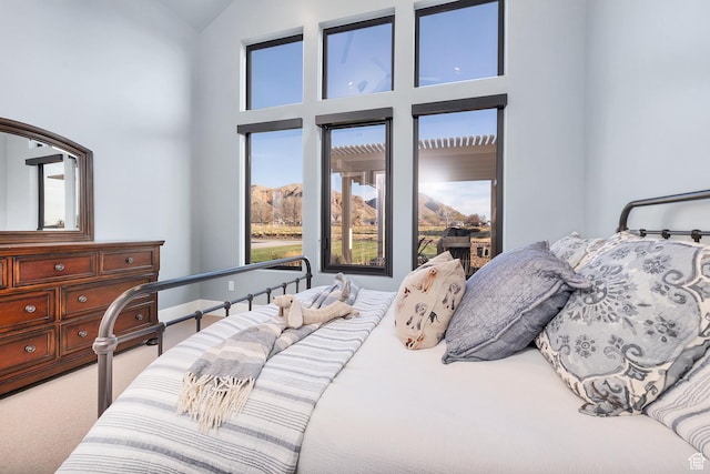 775 W 1300 S, Hurricane, UT 84737 - carpeted bedroom with high vaulted ceiling and baseboards