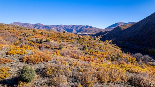 131 S Meadow Dr Unit 20, Springville, UT 84663 - view of mountain feature