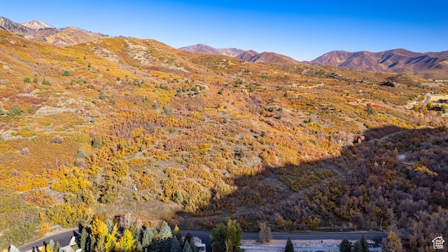 131 S Meadow Dr Unit 20, Springville, UT 84663 - view of mountain feature